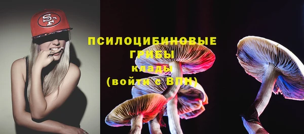 хмурый Алзамай