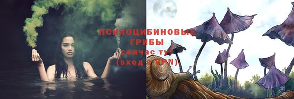 хмурый Алзамай