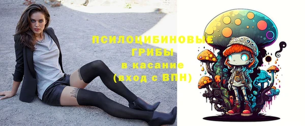 соль курить ск Алексеевка