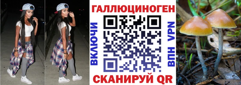 Галлюциногенные грибы прущие грибы Старая Купавна