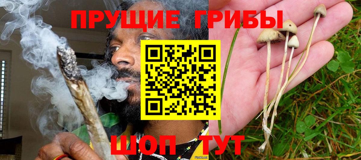 Галлюциногенные грибы Magic Shrooms  купить   Старая Купавна  Вход с VPN 